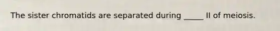 The sister chromatids are separated during _____ II of meiosis.