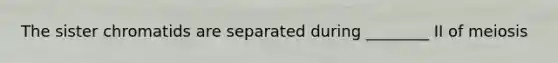 The sister chromatids are separated during ________ II of meiosis