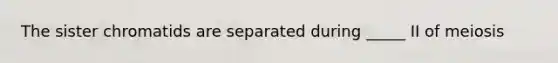 The sister chromatids are separated during _____ II of meiosis