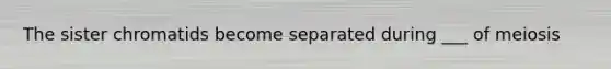 The sister chromatids become separated during ___ of meiosis