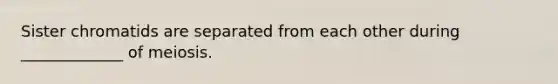 Sister chromatids are separated from each other during _____________ of meiosis.