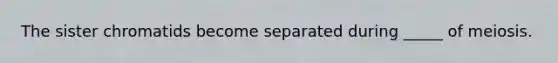 The sister chromatids become separated during _____ of meiosis.