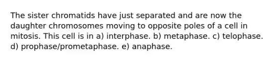 The sister chromatids have just separated and are now the daughter chromosomes moving to opposite poles of a cell in mitosis. This cell is in a) interphase. b) metaphase. c) telophase. d) prophase/prometaphase. e) anaphase.