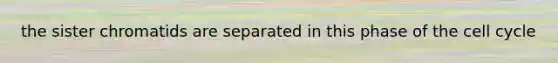 the sister chromatids are separated in this phase of the cell cycle