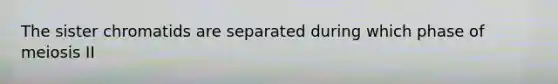 The sister chromatids are separated during which phase of meiosis II