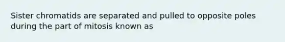 Sister chromatids are separated and pulled to opposite poles during the part of mitosis known as