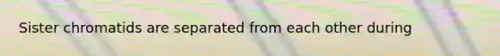 Sister chromatids are separated from each other during