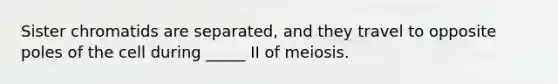 Sister chromatids are separated, and they travel to opposite poles of the cell during _____ II of meiosis.