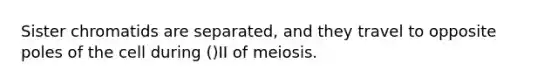 Sister chromatids are separated, and they travel to opposite poles of the cell during ()II of meiosis.