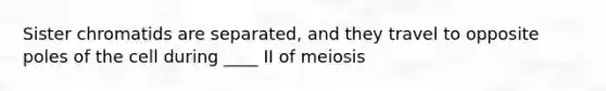 Sister chromatids are separated, and they travel to opposite poles of the cell during ____ II of meiosis