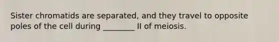 Sister chromatids are separated, and they travel to opposite poles of the cell during ________ II of meiosis.