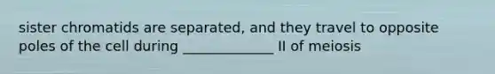 sister chromatids are separated, and they travel to opposite poles of the cell during _____________ II of meiosis