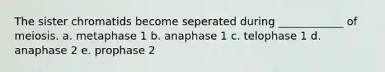 The sister chromatids become seperated during ____________ of meiosis. a. metaphase 1 b. anaphase 1 c. telophase 1 d. anaphase 2 e. prophase 2