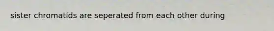 sister chromatids are seperated from each other during