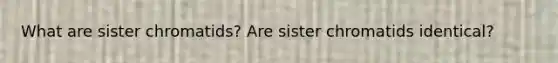 What are sister chromatids? Are sister chromatids identical?