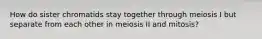 How do sister chromatids stay together through meiosis I but separate from each other in meiosis II and mitosis?