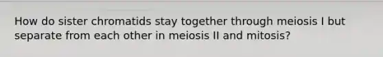 How do sister chromatids stay together through meiosis I but separate from each other in meiosis II and mitosis?