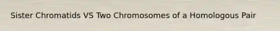 Sister Chromatids VS Two Chromosomes of a Homologous Pair