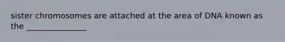 sister chromosomes are attached at the area of DNA known as the _______________