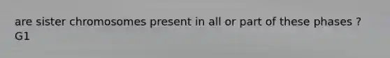 are sister chromosomes present in all or part of these phases ? G1