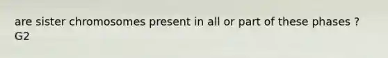 are sister chromosomes present in all or part of these phases ? G2