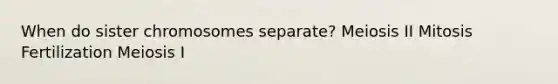 When do sister chromosomes separate? Meiosis II Mitosis Fertilization Meiosis I
