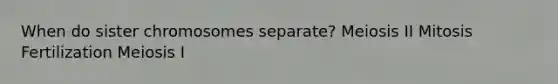When do sister chromosomes separate? Meiosis II Mitosis Fertilization Meiosis I