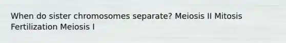 When do sister chromosomes separate? Meiosis II Mitosis Fertilization Meiosis I