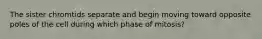The sister chromtids separate and begin moving toward opposite poles of the cell during which phase of mitosis?