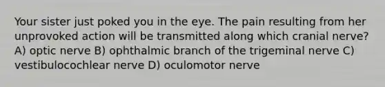 Your sister just poked you in the eye. The pain resulting from her unprovoked action will be transmitted along which cranial nerve? A) optic nerve B) ophthalmic branch of the trigeminal nerve C) vestibulocochlear nerve D) oculomotor nerve