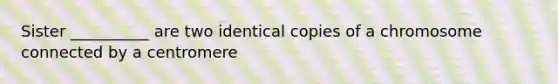 Sister __________ are two identical copies of a chromosome connected by a centromere