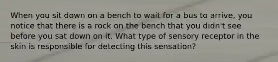 When you sit down on a bench to wait for a bus to arrive, you notice that there is a rock on the bench that you didn't see before you sat down on it. What type of sensory receptor in the skin is responsible for detecting this sensation?