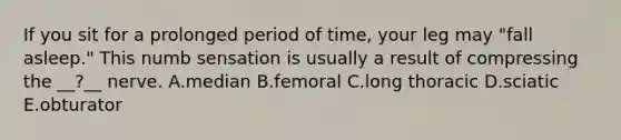 If you sit for a prolonged period of time, your leg may "fall asleep." This numb sensation is usually a result of compressing the __?__ nerve. A.median B.femoral C.long thoracic D.sciatic E.obturator