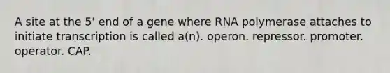 A site at the 5' end of a gene where RNA polymerase attaches to initiate transcription is called a(n). operon. repressor. promoter. operator. CAP.