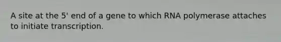 A site at the 5' end of a gene to which RNA polymerase attaches to initiate transcription.