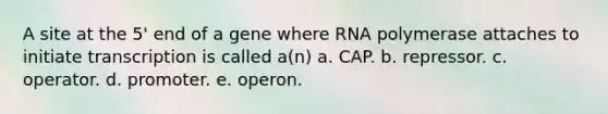 A site at the 5' end of a gene where RNA polymerase attaches to initiate transcription is called a(n) a. CAP. b. repressor. c. operator. d. promoter. e. operon.