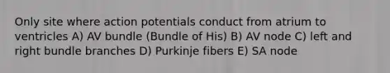 Only site where action potentials conduct from atrium to ventricles A) AV bundle (Bundle of His) B) AV node C) left and right bundle branches D) Purkinje fibers E) SA node