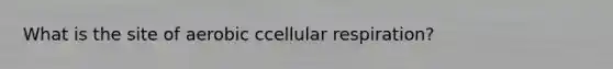 What is the site of aerobic ccellular respiration?