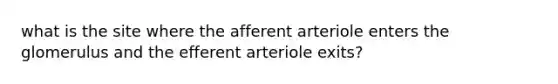 what is the site where the afferent arteriole enters the glomerulus and the efferent arteriole exits?