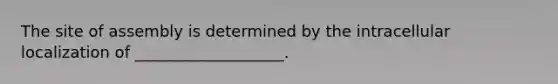 The site of assembly is determined by the intracellular localization of ___________________.