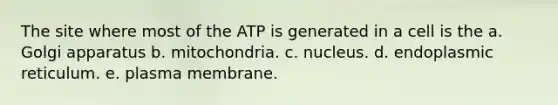 The site where most of the ATP is generated in a cell is the a. Golgi apparatus b. mitochondria. c. nucleus. d. endoplasmic reticulum. e. plasma membrane.