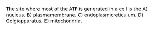 The site where most of the ATP is generated in a cell is the A) nucleus. B) plasmamembrane. C) endoplasmicreticulum. D) Golgiapparatus. E) mitochondria.