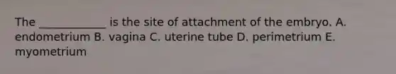 The ____________ is the site of attachment of the embryo. A. endometrium B. vagina C. uterine tube D. perimetrium E. myometrium