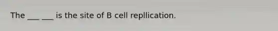 The ___ ___ is the site of B cell repllication.