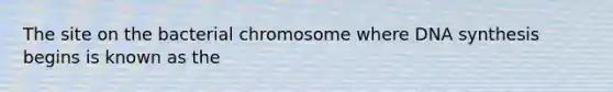 The site on the bacterial chromosome where DNA synthesis begins is known as the