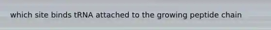 which site binds tRNA attached to the growing peptide chain