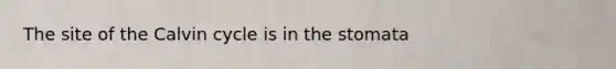 The site of the Calvin cycle is in the stomata