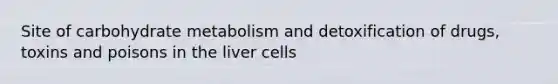 Site of carbohydrate metabolism and detoxification of drugs, toxins and poisons in the liver cells