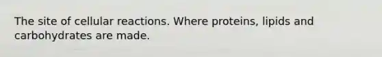 The site of cellular reactions. Where proteins, lipids and carbohydrates are made.