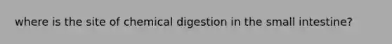 where is the site of chemical digestion in the small intestine?